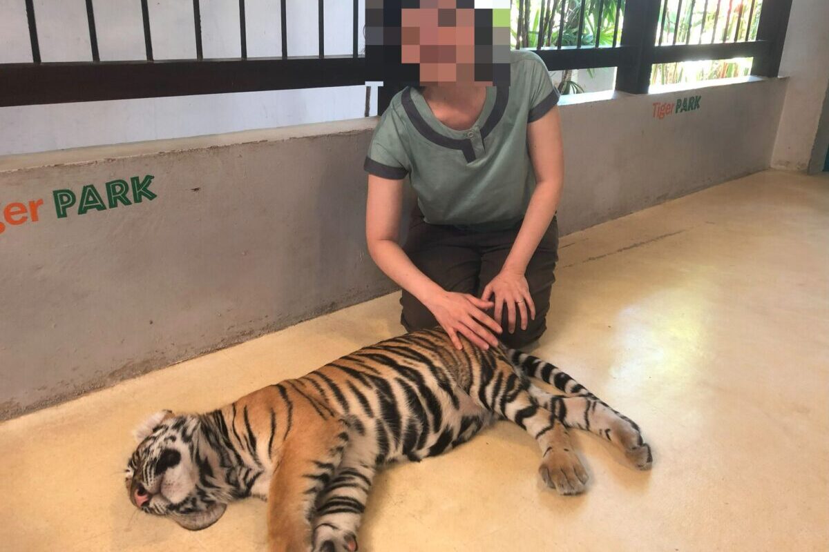 タイガーキングダム