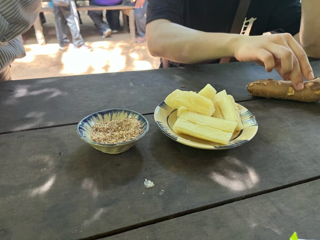 クチトンネルツアーのキャッサバ