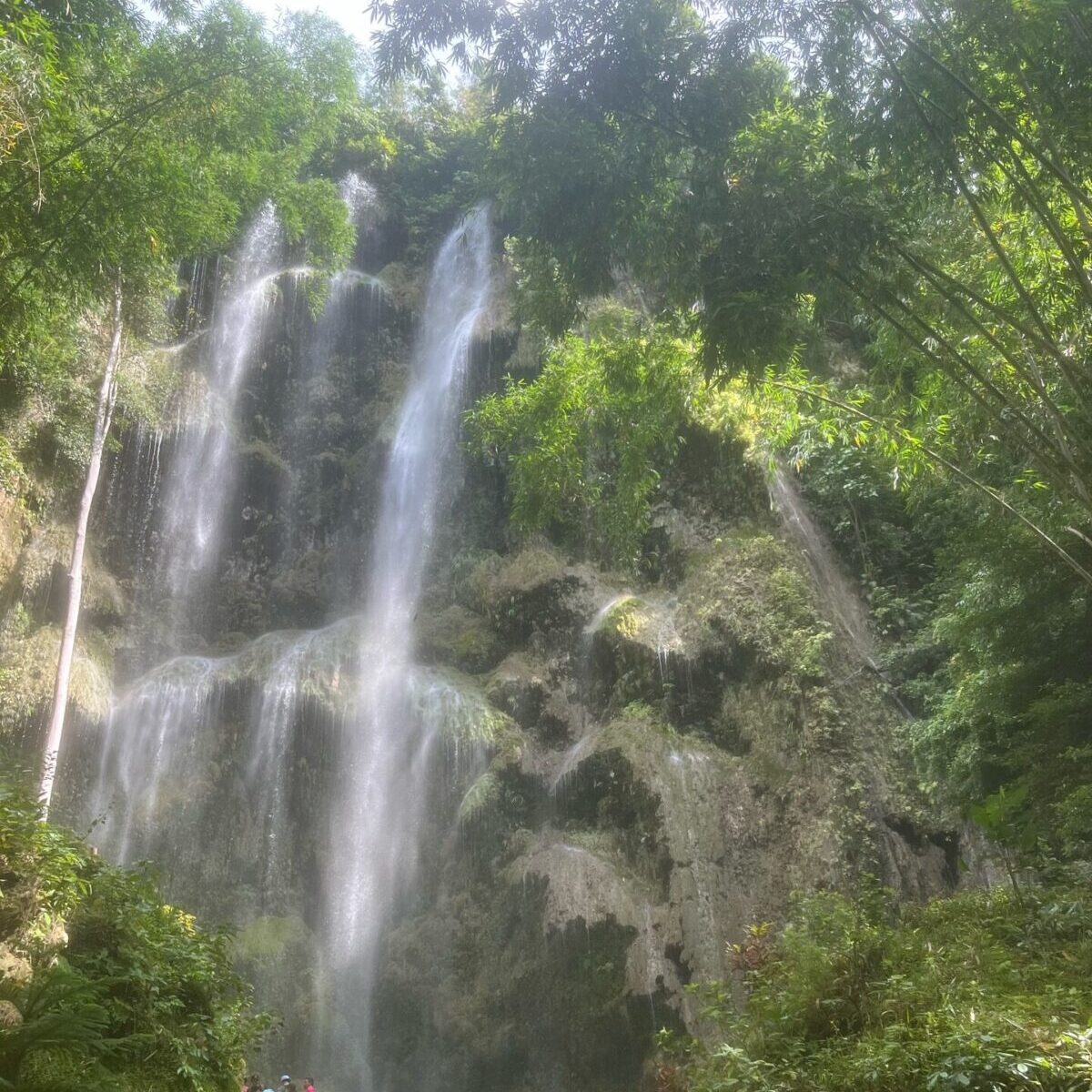 ジンベイザメツアーの滝
