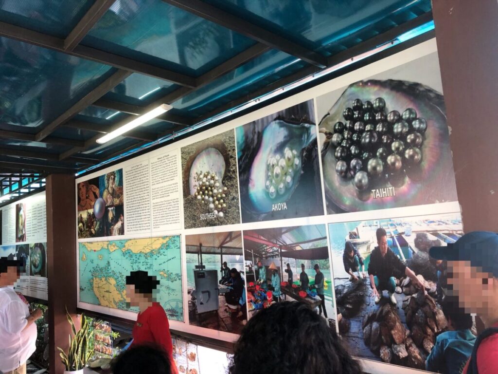 ハロン湾ツアーの休憩所・真珠養殖