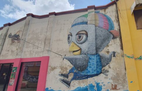 サーフィング・バード